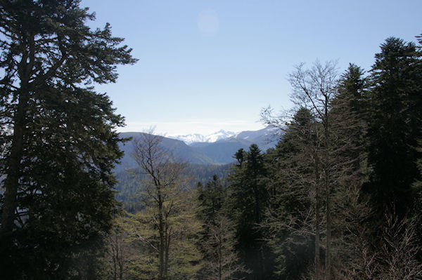 Au loin, le Mont Valier depuis le chemin menant au Refuge de Larreix