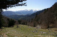 La monte vers le Col du Pas de l'Ane