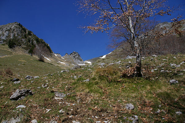 Le Col du Pas de l'Ane encombr par un nv!
