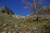 Le Col du Pas de l'Ane encombre par un neve!