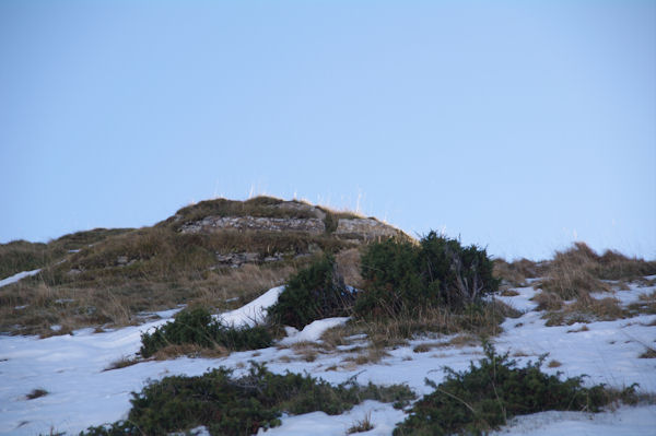 Le Cap de la Pique de Plas