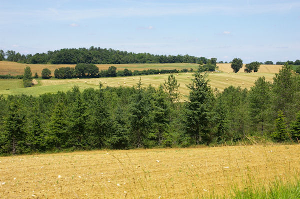 Le vallon du ruisseau des Bois des Bats