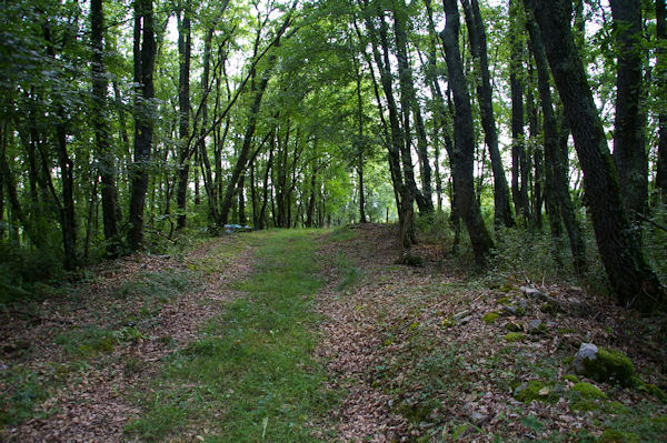 Le chemin au dessus du Tuco