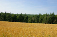 Contraste de couleurs depuis La Higuasse