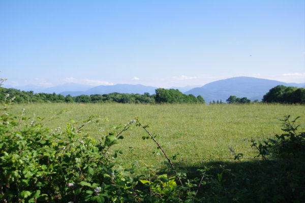 Les Pyrnes depuis les Tourreilles