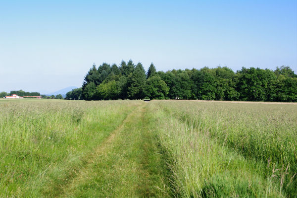 Le chemin menant  la Chapelle St Jean