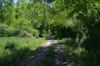 Un petit bout de bois aprs Larriouet