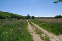 Le chemin sous le Bois de Coussaus