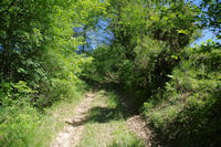 Le chemin au dessus de La Coume