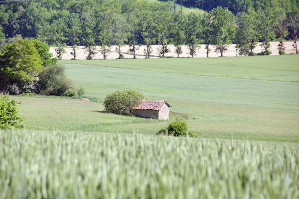 Une cabane  Nougu depuis Landery