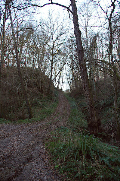 Dans la valle du ruisseau de Notre Dame