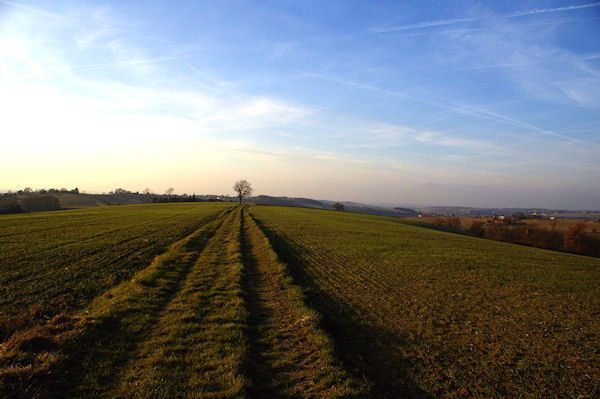 Le chemin vers Bouchres