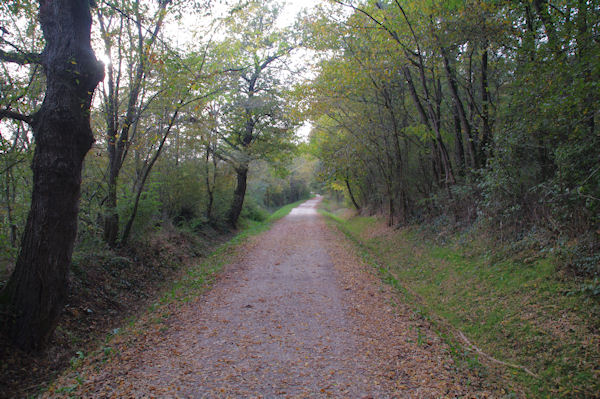 Le GR86 dans la valle du Courbet