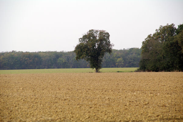 Le GR653 vers Brodeur