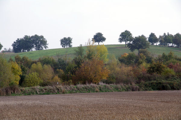 Le GR86 dans la valle de l_Aussonnelle aprs le Bois de Lamothe