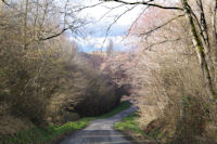 La route vers le lac sur le ruisseau de Tabernole