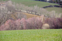 Lignes et couleurs depuis Gautis