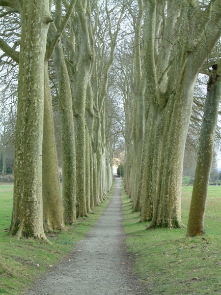 Le bassin de Naurouze