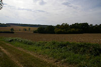 Paysages sous Bourrieu