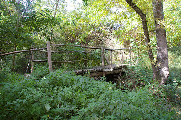 Le petit pont de bois sur la Trujol en dessous de Ste Foy de Peyrolires