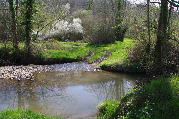 Le ruisseau de La Louge