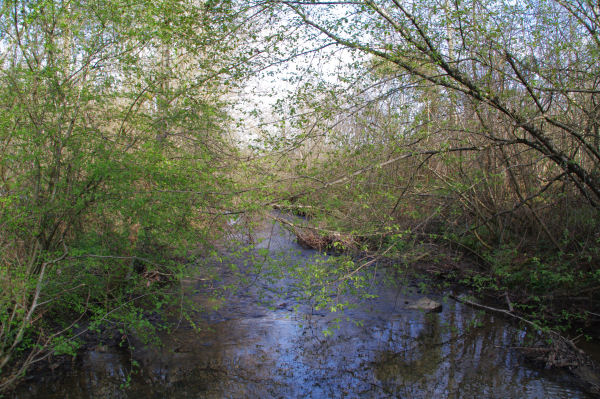 Le ruisseau de La Louge