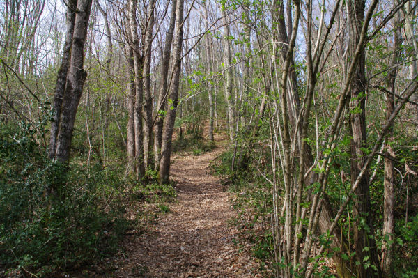 Le sentier remontant l_Escal