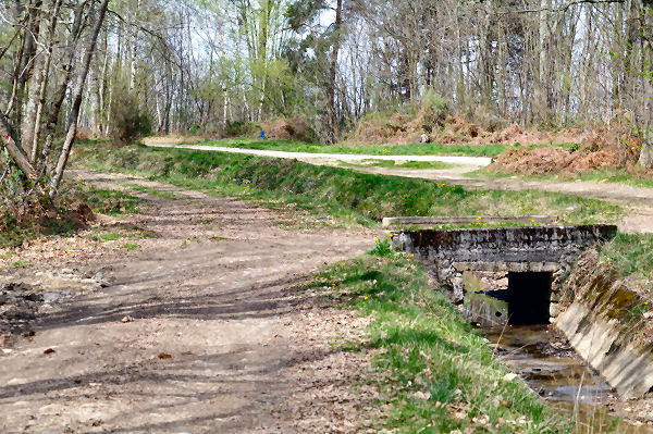 Le passage pour rejoindre l_ancienne voie romaine Toulouse - Tarbes