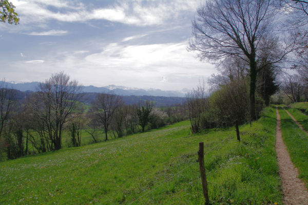 Au dessus du ruisseau de la Louge