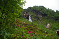 Un petit torent descendant de La Montagnette entour de Rhododendrons