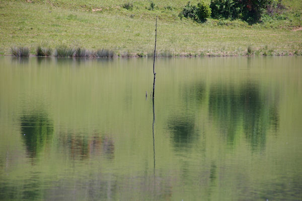 Reflets sur lac du Touch