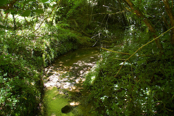 Le Touch dans la fort de Lilhac