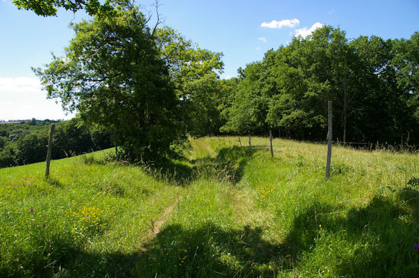 Le GR86 entre La Carretre et le Bois de Morth