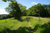 Le GR86 entre La Carretre et le Bois de Morth