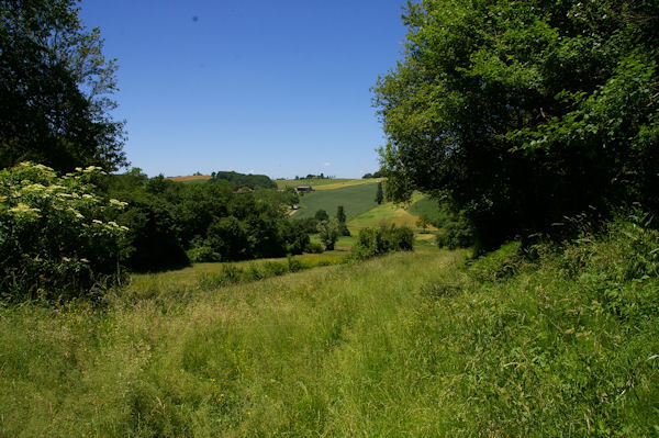 En descendant de Fabas vers la valle du Touch sur le GR86