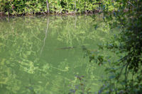 Un frayre sur le lac sur le Touch