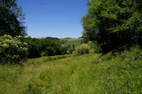 En descendant de Fabas vers la valle du Touch sur le GR86