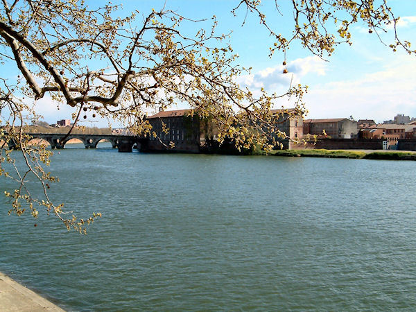 L'Hotel Dieu Saint Jacques et le Pont Neufdepuis les berges Garonne rive droite