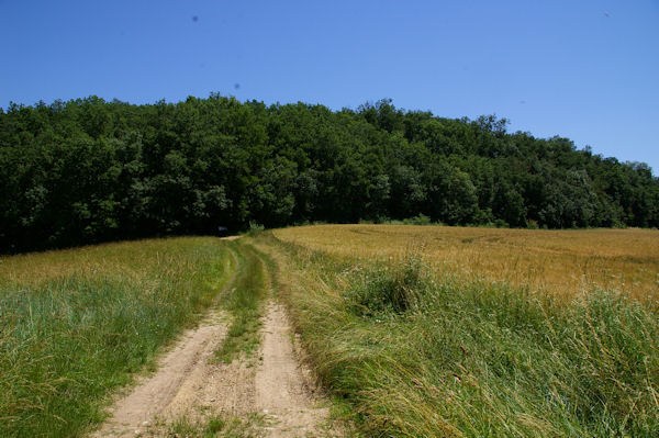 Le dpart du chemin des Huttes  Conques