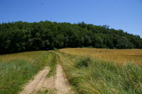 Le depart du chemin des Huttes a Conques