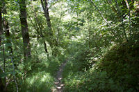 Le chemin arbor dans le vallon du ruisseau de Vermas