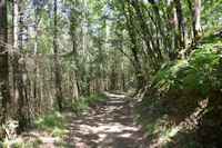 Le chemin arbor dans le vallon du ruisseau de Vermas