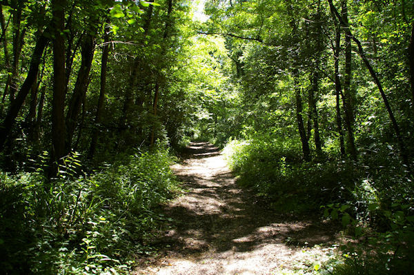 Dans le vallon du ruisseau Rels