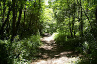 Dans le vallon du ruisseau Rels