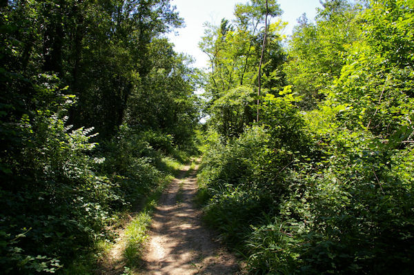 Dans le vallon du ruisseau Rels