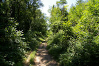 Dans le vallon du ruisseau Rels