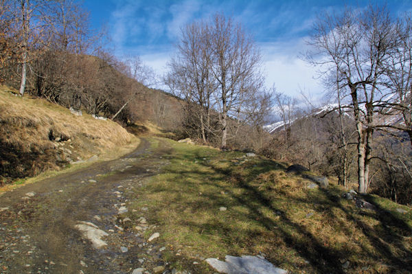 Le chemin remontant vers le Cap de la Serre