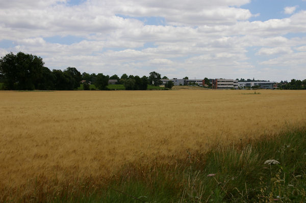 La Zone d_Activits de Ribaute depuis l_arodrome de Toulouse - Lasbordes