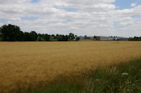 La Zone d'Activites de Ribaute depuis l'aerodrome de Toulouse - Lasbordes