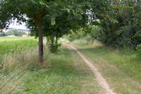 Le chemin au bord de la Saune